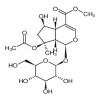 8-O-acetyl shanzhiside methyl ester 98 % of picture