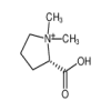  Stachydrine 98%