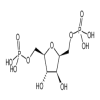 2,5-Anhydro-D-glucitol-1,6-diphosphate(50mg/vial) of picture