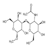 Methyl 3-O-(N-Acetyl-β-D-glucosaminyl)-β-D-galactopyranoside(10mg/vial) of picture