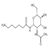 2-Acetamido-N- (e-aminocaproyl)-2-deoxy-β-D-glucopyranosylamine (10mg/vial) of picture