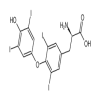 D-Thyroxine(100mg/vial) of picture