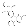 2-O-(2-Acetamido-2-deoxy-β-D-glucopyranosyl)-D-mannose(10mg/vial) of picture