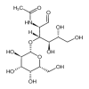 2-Acetamido-2-deoxy-3-O-(β-D-galactopyranosyl)-D-glucopyranose (50mg/vial) of picture