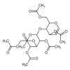 Lactal Hexaacetate(10g/vial) of picture