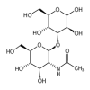 3-O-[2-Acetamido-2-deoxy-β-D-glucopyranosyl]-D-mannopyranose(100mg/vial) of picture