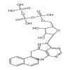 4-Amino-3-(1-naphthylmethyl)-1H-pyrazolo[3,4-d]pyrimidine-1-(β-D-ribofuranosyl-5’-triphosphate)(25mg/vial) of picture