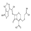 Desfuroyl Ceftiofur S-Acetamide
(25mg/vial) of picture