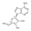 Adenosine-13C5(2.5mg/vial) of picture