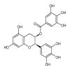 (-)-Epigallocatechin Gallate(1g/vial) of picture