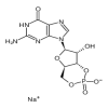 Guanosine 3’,5’-Cyclic Monophosphate Sodium Salt(1g/vial) of picture