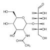 4-O-(2-Acetamido-2-deoxy-α-D-glucopyranosyl)-D-galactose(25mg/vial) of picture