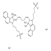 Dihydro Indocyanine Green Sodium Salt(50mg/vial) of picture