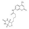 N-d-Biotinyl-7-amino-4-methylcoumarin(50mg/vial) of picture