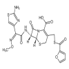 Ceftiofur(100mg/vial) of picture