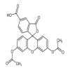 5-Carboxyfluorescein Diacetate(100mg/vial) of picture