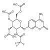 4-Methylumbelliferyl 2-Trifluoroacetyl-3,4,6-O-triacetyl-2-deoxy-β-D-glucopyranoside(50mg/vial) of picture