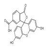 6-Carboxyfluorescein(100mg/vial) of picture