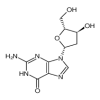 2’-Deoxyguanosine Monohydrate(1g/vial) of picture