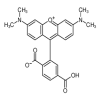 6-Carboxytetramethyl Rhodamine, 90%(10mg/vial) of picture