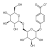 4-Nitrophenyl 2-O-β-D-Glucopyranosyl-β-D-glucopyranoside(1mg/vial) of picture