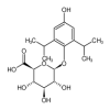 4-Hydroxy Propofol 1-O-β-D-Glucuronide(1mg/vial) of picture