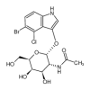5-Bromo-4-chloro-3-indolyl 2-Acetamido-2-deoxy-α-D-galactopyranoside(5mg/vial) of picture