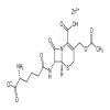 Cephalosporin C Zinc Salt(1g/vial) of picture