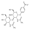 4-Nitrophenyl 2-Acetamido-3-O-(2-acetamido-2-deoxy-β-D-glucopyranosyl)-
2-deoxy-α-D-galactopyranoside(5mg/vial) of picture