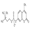 4-Methylumbelliferyl Phosphocholine(10mg/vial) of picture