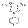 4-Pyridineboronic Acid Pinacol Ester(2.5g/vial) of picture