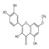 7-O-Methyl Quercetin(5mg/vial) of picture