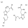 (r,s)-2-Amino-3-[3-(carboxymethoxy)-5-methyl-isoxazol-4-yl]propionic Acid Sesquihydrate(5mg/vial) of picture