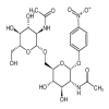 4-Nitrophenyl 2-Acetamido-2-deoxy-(6-O-2-acetamido-2-deoxy-β-D-
glucopyranosyl)-α-D-galactopyranoside(1mg/vial) of picture