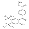 6-[(3,5,5,8,8-Pentamethyl-5,6,7,8-tetrahydronaphthalen-2-yl)carbonyl] Nicotinic Acid Methyl Ester(25mg/vial) of picture