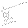 5-(Hexadecanoylamino)fluorescein(100mg/vial) of picture
