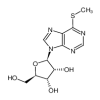 6-Methylmercaptopurine Riboside(1g/vial) of picture