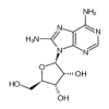 8-Amino Adenosine(25mg/vial) of picture