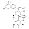 4-Methylumbelliferyl Di-N-Acetyl-β-D-chitobiose(5mg/vial) of picture