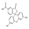 5-Carboxyfluorescein(100mg/vial) of picture