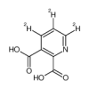 2,3-Pyridinedicarboxylic Acid-d3(10mg/vial) of picture