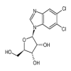 5,6-Dichloropurine-1-β-D-ribofuanosyl-H-benzimidazole(100mg/vial) of picture