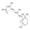 5,6-Epoxy-13-cis Retinoic Acid
(1mg/vial) of picture