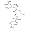 5'-Tosyl-2'-deoxy Adenosine(2.5g/vial) of picture