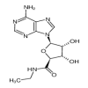 5’-Ethylcarboxamido Adenosine(50mg/vial) of picture