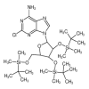 2-Chloro-2',3',5'-tris-O-[(1,1-dimethylethyl)dimethylsilyl]-adenosine(100mg/vial) of picture