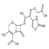 3-Desethenyl-3-methyl Cefixime(Cefixime EP Impurity E)(5mg/vial) of picture