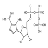 5-Aminoimidazole-4-carboxamide-1-β-D-Ribofuranosyl 5’-Triphosphate(1mg/vial) of picture