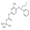 (R)-(2-Methyl-4-tert-butylcarbonate)benzene 1-(1-Phenyl-3-iodopropyl) Ether(100mg/vial) of picture