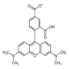 5-Carboxytetramethyl Rhodamine(10mg/vial) of picture